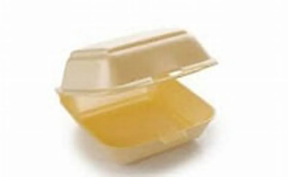 [GE7845] HP6 Polystyrene Takeaway Food Boxes