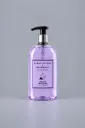 Evans Hand Wash 500ML